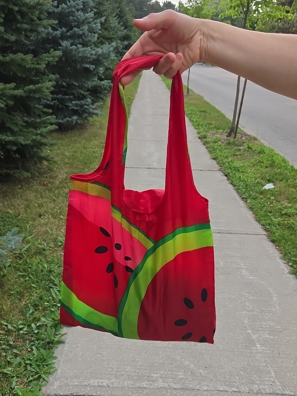 Red Watermelon Print Foldable Tote Bag